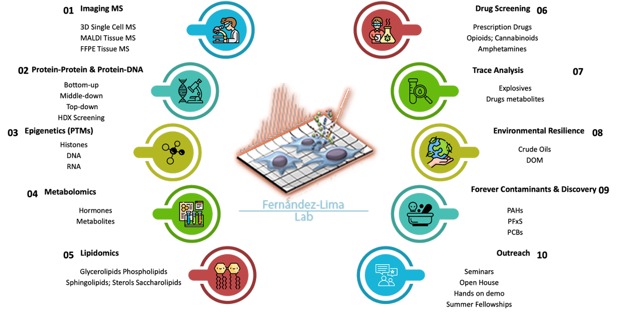 Fernandez-Lima Lab research areas overview: 01 Imaging MS (3D single-cell MS, MALDI tissue MS, FFPE tissue MS), 02 Protein-Protein & Protein-DNA (bottom-up, middle-down, top-down, HDX screening), 03 Epigenetics/PTMs (histones, DNA, RNA), 04 Metabolomics (hormones, metabolites), 05 Lipidomics (glycerolipids, phospholipids, sphingolipids, sterols, saccharolipids), 06 Drug Screening (prescription drugs, opioids, cannabinoids, amphetamines), 07 Trace Analysis (explosives, drug metabolites), 08 Environmental Resilience (crude oils, dissolved organic matter), 09 Forever Contaminants & Discovery (PAHs, PFAS, PCBs), 10 Outreach (seminars, open house, hands-on demos, summer fellowships).