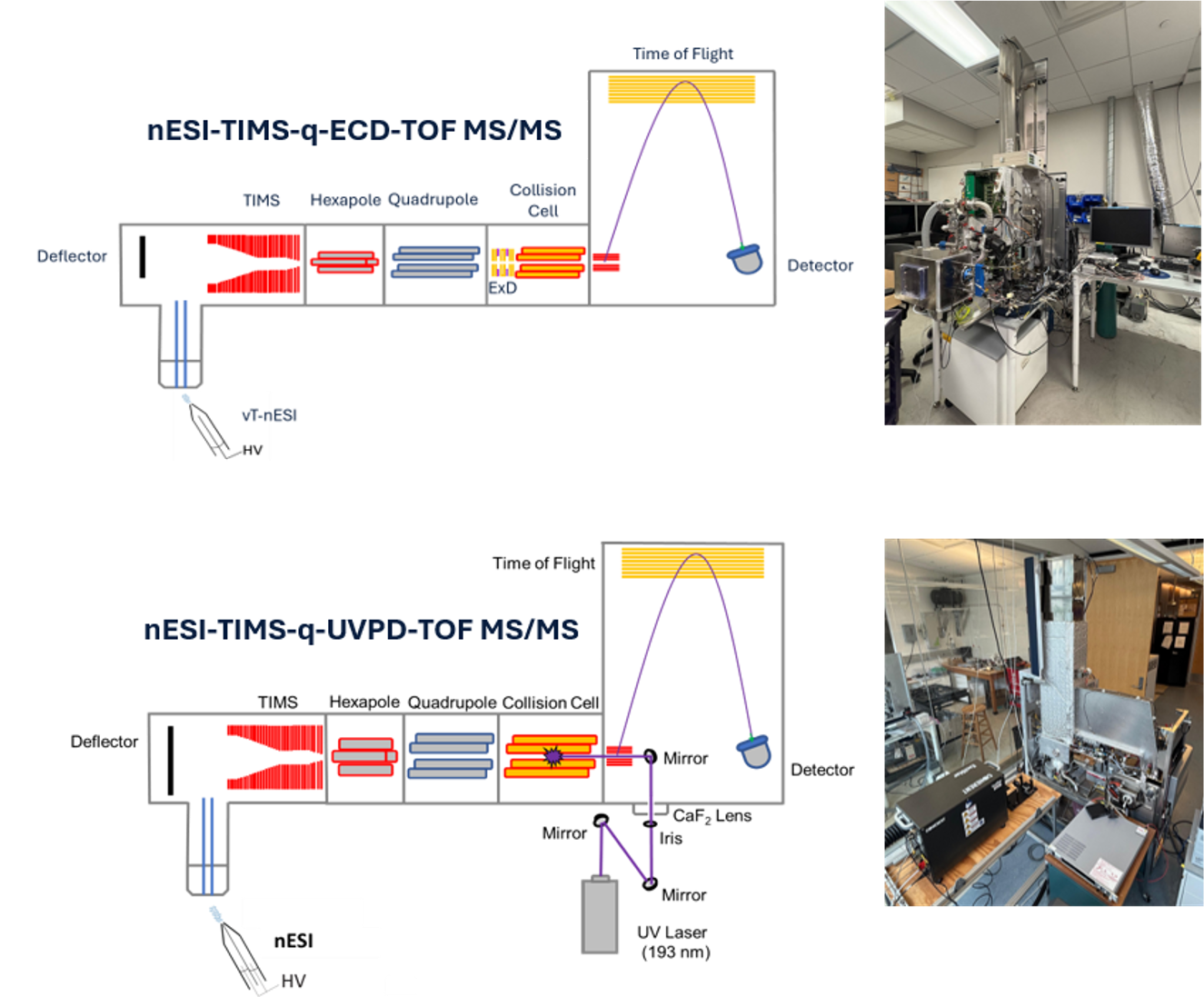 Schematics and lab photos of the nESI-TIMS-q-ECD-TOF MS/MS and nESI-TIMS-q-UVPD-TOF MS/MS instruments, each pairing a TIMS analyzer with electron capture or UV photodissociation ahead of the TOF detector.